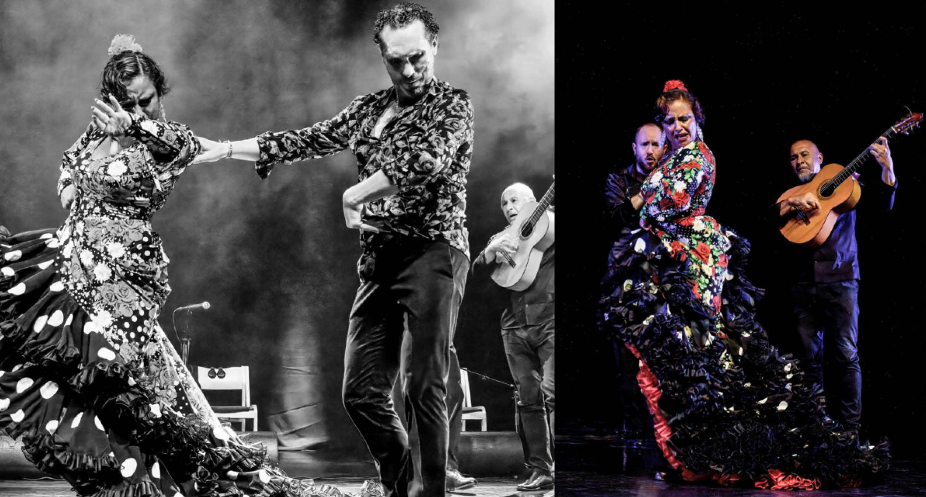 Danse - Flamenco (Almay Arte)